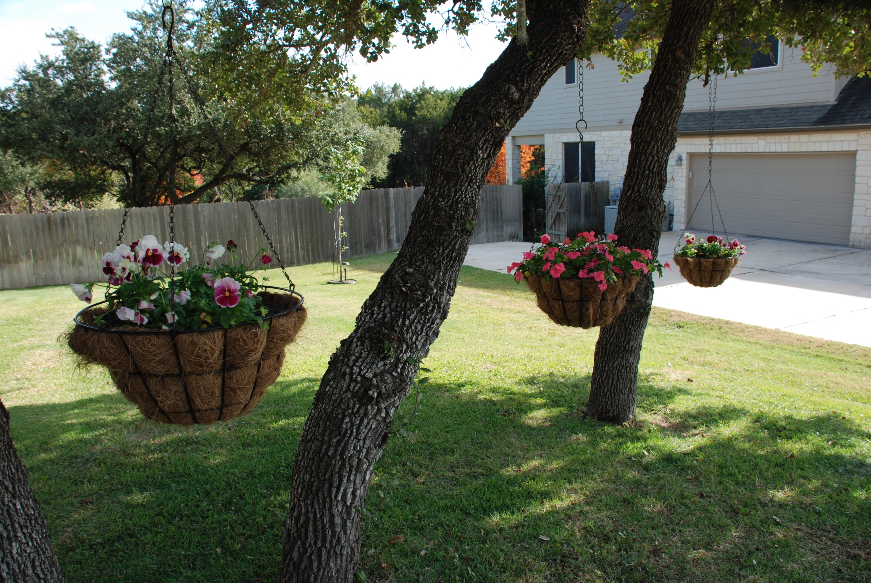 6607 Conifer Cove 54 78736.jpg